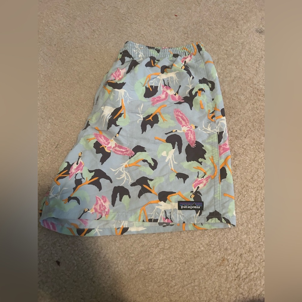 Men’s Patagonia shorts